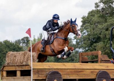 FOR SALE – FLASHY COMPETITIVE 2* EVENTER !!!