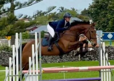 SOLD TO AUSTRALIA !!!   QUALITY 5 YO INTERNATIONAL EVENTING PROPECT