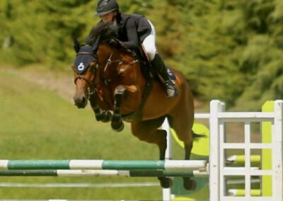 *** FOR SALE ***     YOUNG RIDER PROSPECT WITH MULTIPLE WINS 1.35M !!!