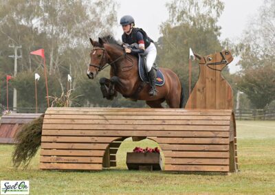 *** SALE PENDING  ***    OUTSTANDING PONY 1.05M EVENTER / 1.20M SHOW JUMPING WINNER !!!